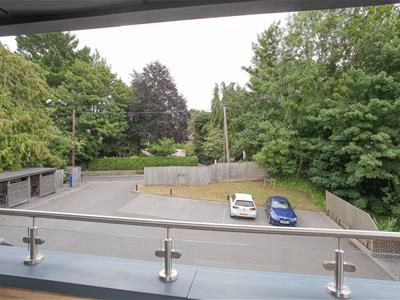Picture 13